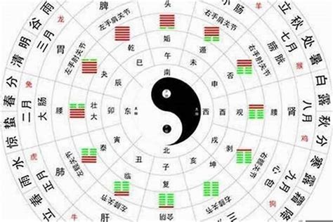 木局|什么是八字形成木局 八字地支全是木